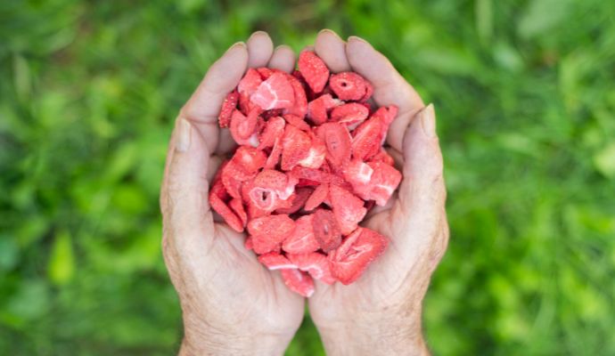 Gefriergetrocknete Erdbeeren